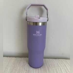 Stanley purple 30oz flip straw tumbler